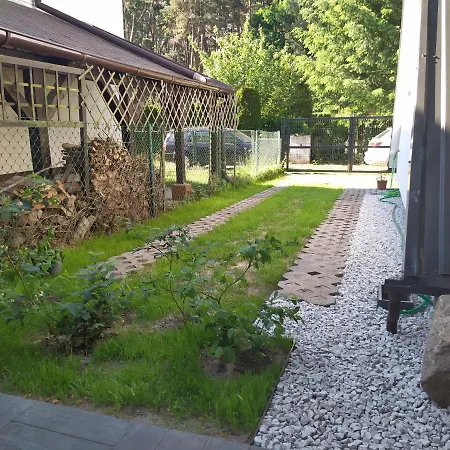 Bukowy Caloroczny